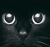 Vidente especialista en corte de mala suerte.